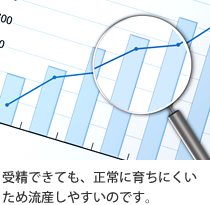 受精できても、正常に育ちにくいため流産しやすいのです。