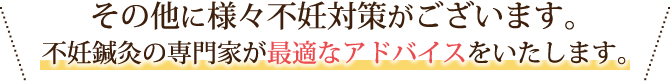 その他に様々不妊対策がございます。不妊鍼灸の専門家が最適なアドバイスをいたします。