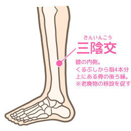 三陰交(さんいんこう)